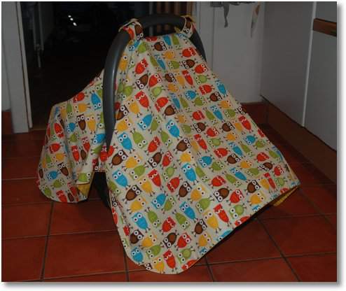 car seat canopy1