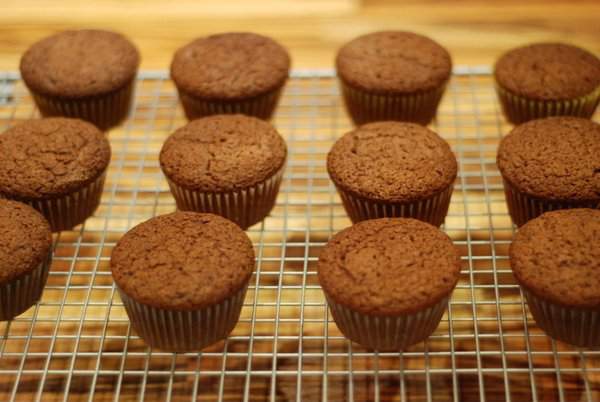 Chocolate and orange cupcakes