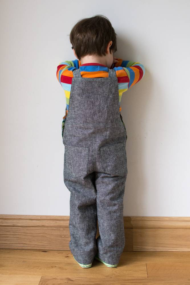 Frog Dungarees Back View