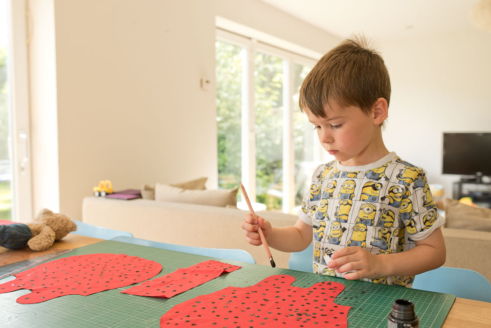 Ladybird spot fabric stamping 2